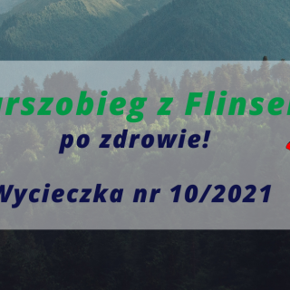 Marszobieg z Flinsem po Zdrowie wycieczka nr 10/2021 Czysto w Głowie – Czysto w Lesie